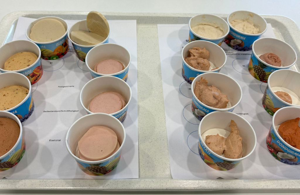 Datengetriebene Rezepturentwicklung bei Pflanzenprotein-Alternativen